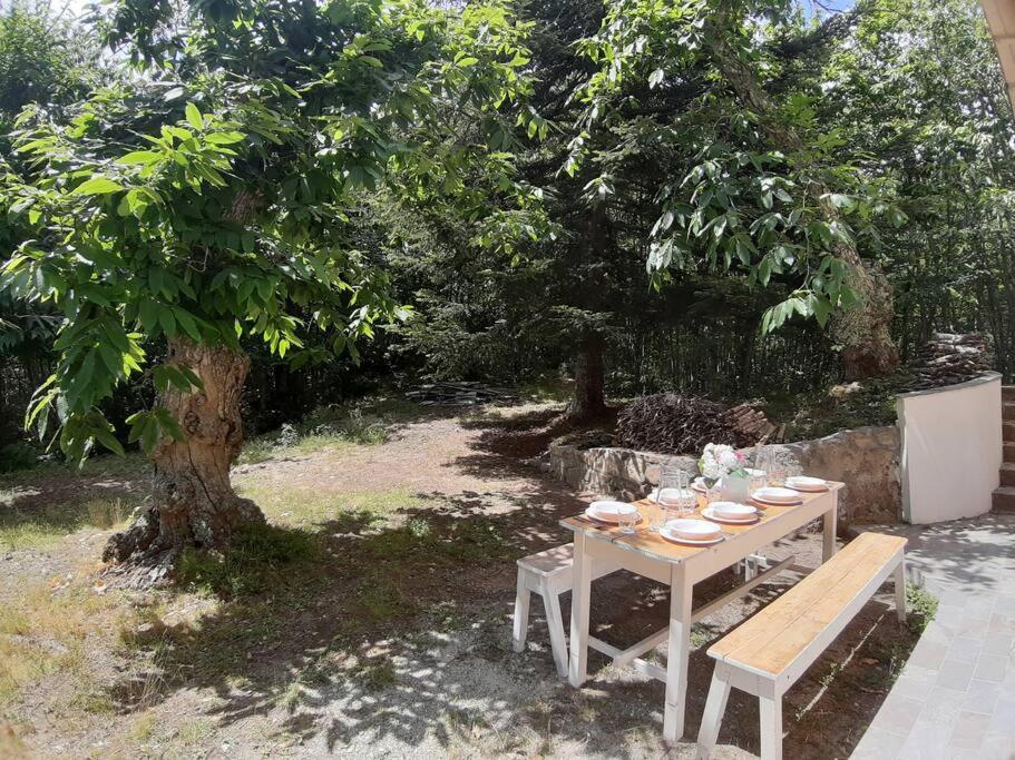 Casa Del Castagno: Un Nido Nel Castagneto Βίλα Πιστόια Εξωτερικό φωτογραφία