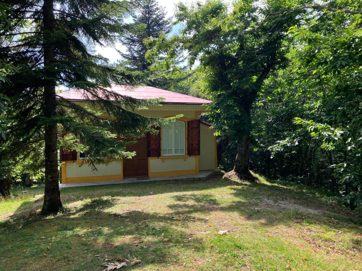 Casa Del Castagno: Un Nido Nel Castagneto Βίλα Πιστόια Εξωτερικό φωτογραφία